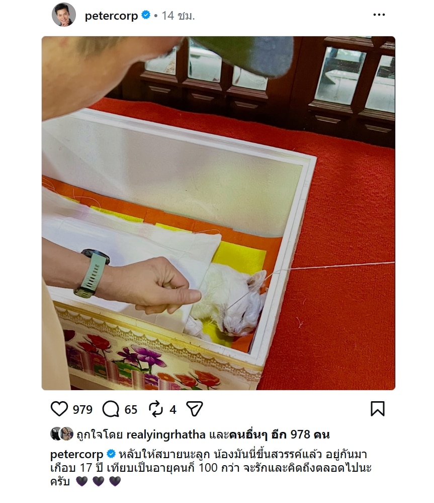 สุดเศร้า ปีเตอร์ คอร์ป แจ้งข่าวสะเทือนใจ เพื่อนๆแห่แสดงความเสียใจ