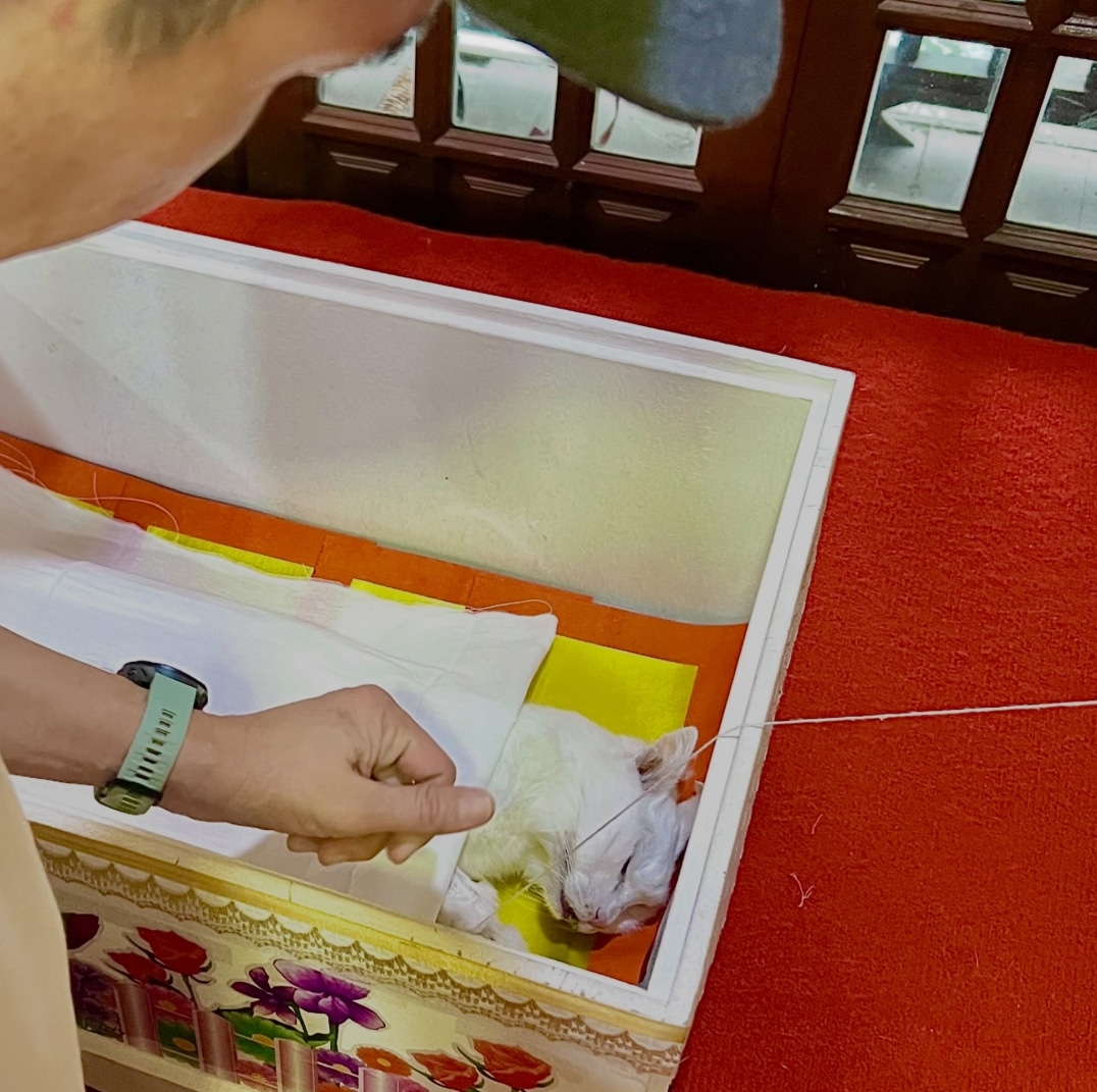 สุดเศร้า ปีเตอร์ คอร์ป แจ้งข่าวสะเทือนใจ เพื่อนๆแห่แสดงความเสียใจ