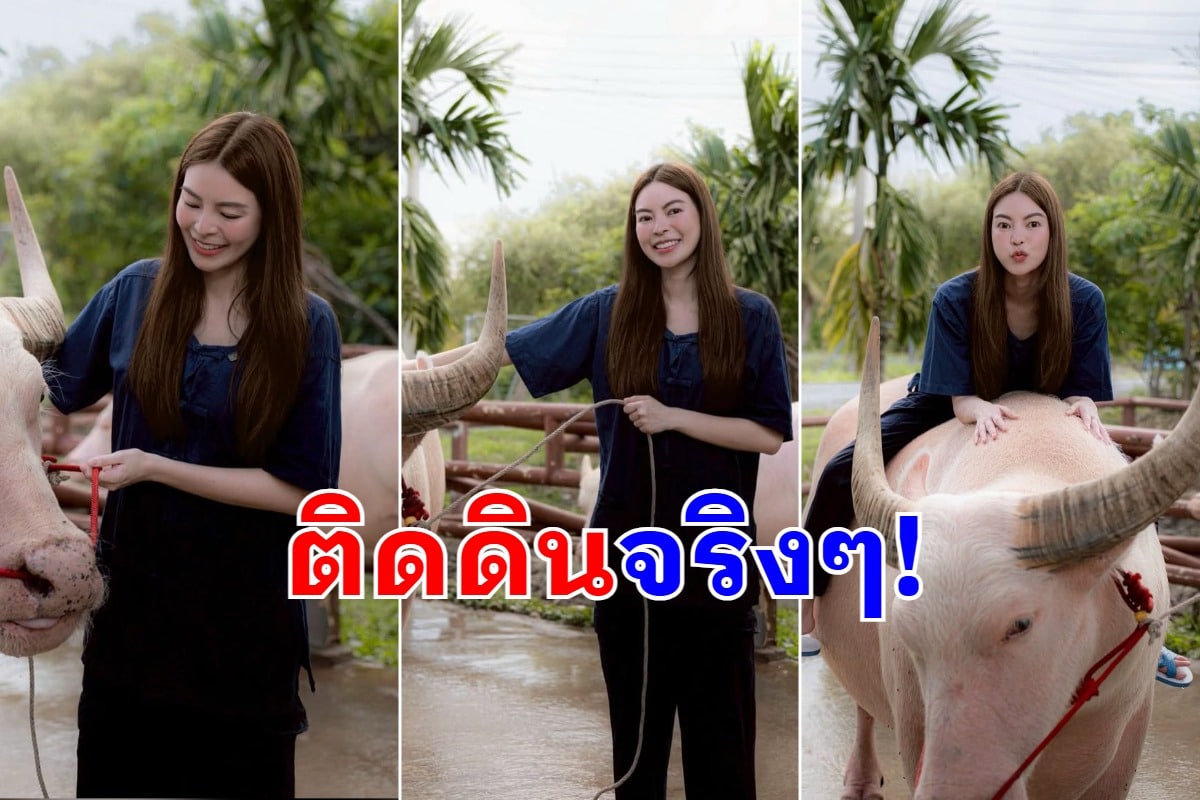 ไม่อยากจะเชื่อสายตา ทายาทตระกูลดัง สลัดลุคคุณหนูมาขี่ควายตัวเป็นๆ นี่แหละนางฟ้าเดินดินที่แท้ทรู