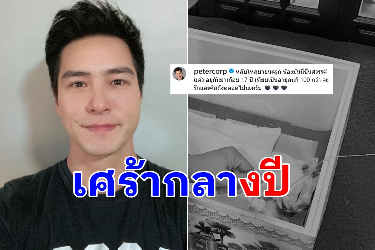 สุดเศร้า ปีเตอร์ คอร์ป แจ้งข่าวสะเทือนใจ เพื่อนๆแห่แสดงความเสียใจ